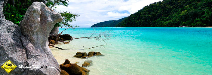 ทริปดำน้ำหมู่เกาะสุรินทร์
