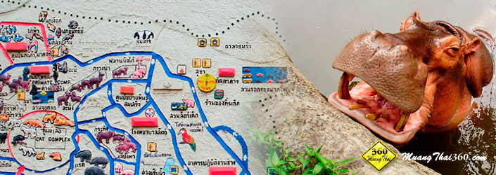 Songkhla Zoo เที่ยวสวนสัตว์สงขลา
