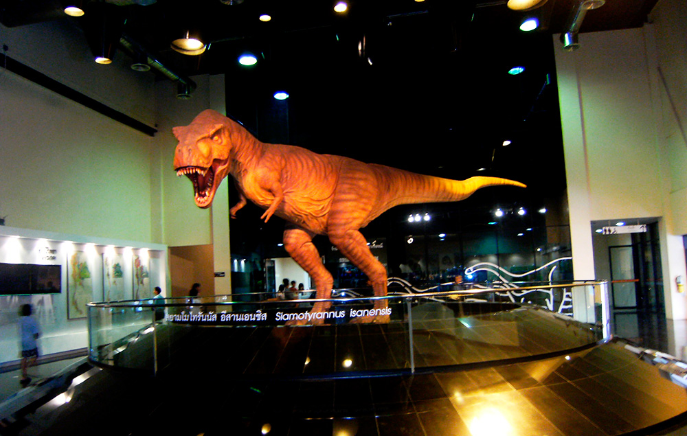 รูปภาพของ พาไปดูไดโนเสาร์ที่พิพิธภัณฑ์สิรินธร