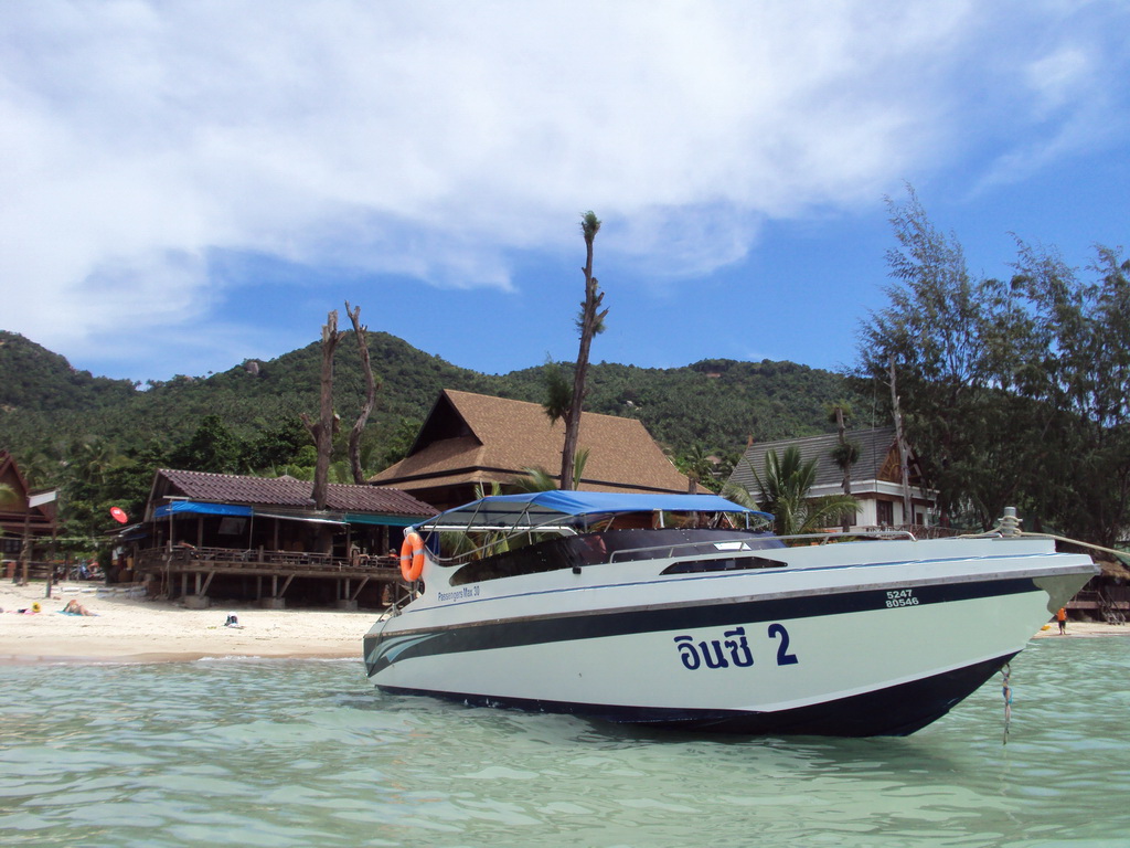 รูปภาพของ สัมผัสมลเสน่ห์ของอ่าวไทยไปกับ In Sea Speedboat